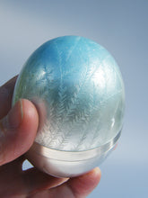 Load image into Gallery viewer, Ice Fronds